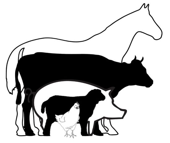 KOPŠANAS LĪDZEKĻI